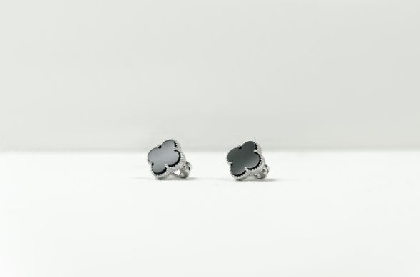 Silver earrings "lucky day"