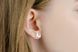 Silver Earrings "Cats"