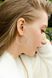 Silver Hoop earrings
