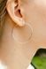 Silver Hoop earrings